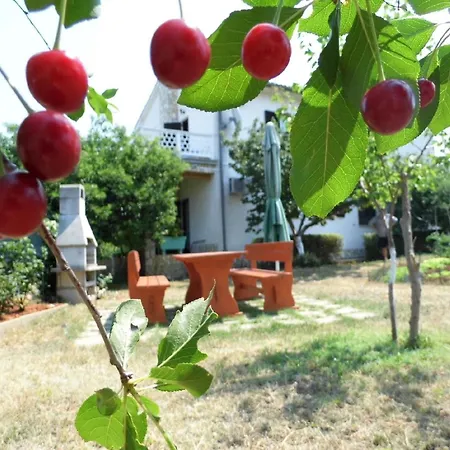 Apartment Schoene Im Erdgeschoss, Geeignet Fuer Es Schoene Terrasse Und Grossen Geraeumigen Garten Mit Grill